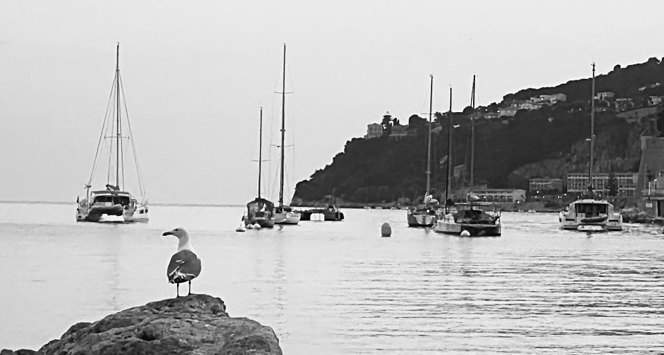 Фотографія Пейзаж / Alice Grey / photographers.ua