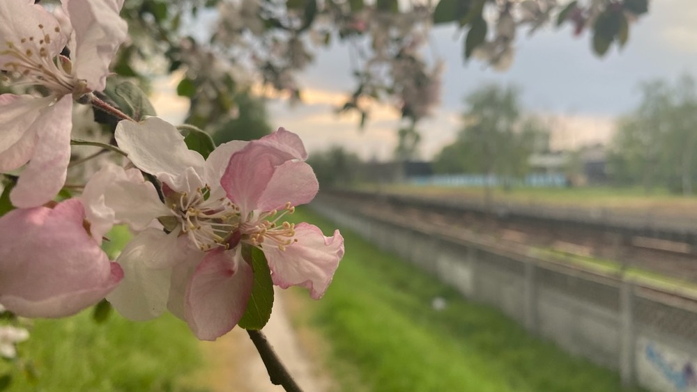 Фотографія Пейзаж / Alice Grey / photographers.ua