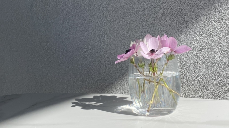 Фотографія Пейзаж / Alice Grey / photographers.ua