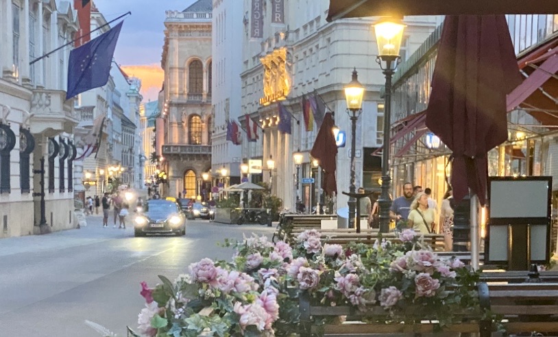 Фотографія Вечірній Відень, 1 / Alice Grey / photographers.ua