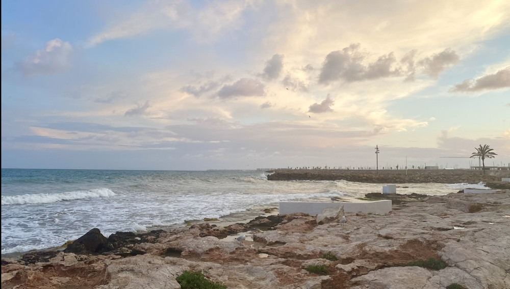 Фотографія Пейзаж / Alice Grey / photographers.ua