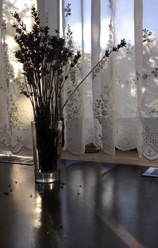 Фотографія Натюрморт / Alice Grey / photographers.ua