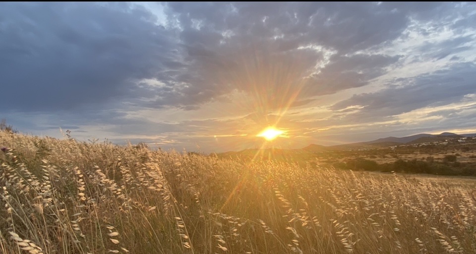 Фотографія Пейзаж / Alice Grey / photographers.ua