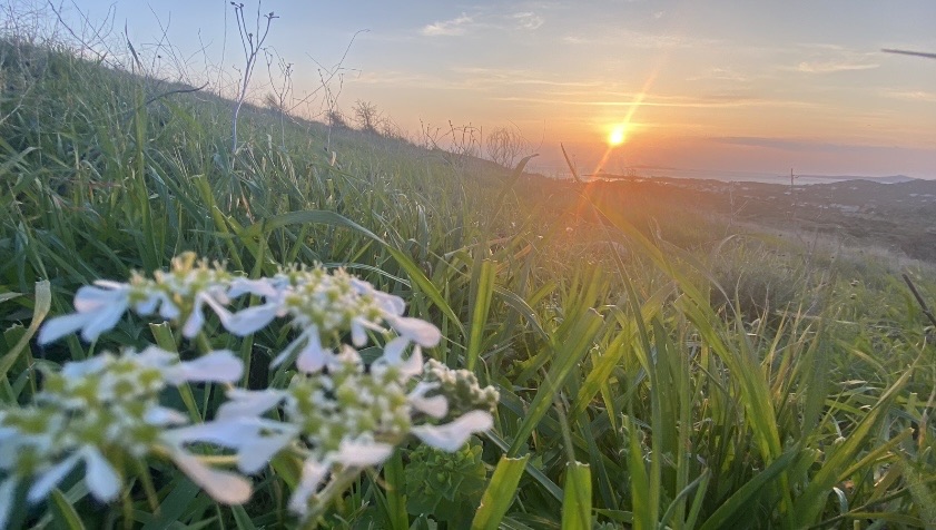 Фотографія Пейзаж / Alice Grey / photographers.ua