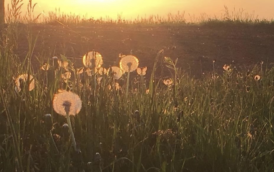 Фотографія Пейзаж / Alice Grey / photographers.ua