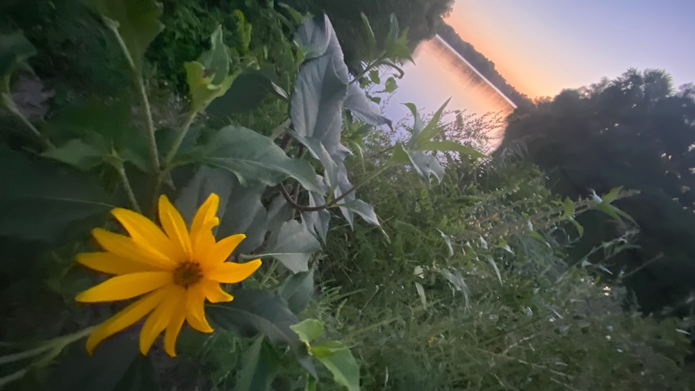 Фотографія Пейзаж / Alice Grey / photographers.ua