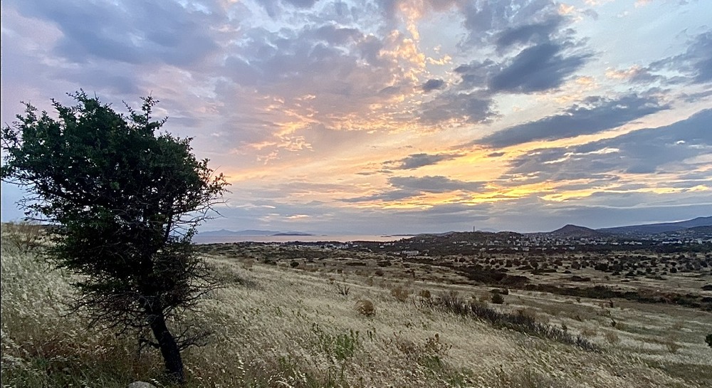 Фотографія Пейзаж / Alice Grey / photographers.ua