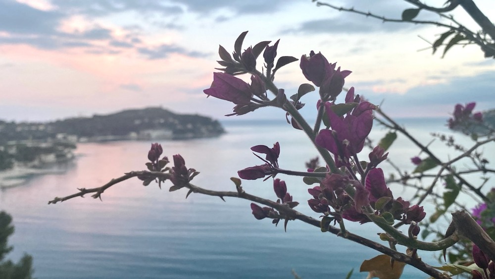 Фотографія Пейзаж / Alice Grey / photographers.ua