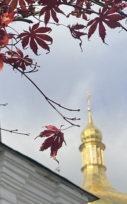 Фотографія Пейзаж / Alice Grey / photographers.ua