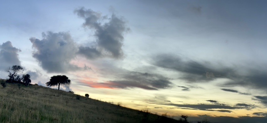 Фотографія Пейзаж / Alice Grey / photographers.ua