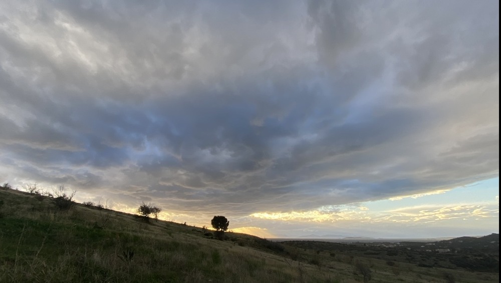 Фотографія Пейзаж / Alice Grey / photographers.ua