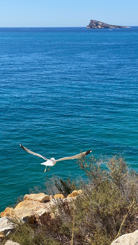 Фотографія Пейзаж / Alice Grey / photographers.ua