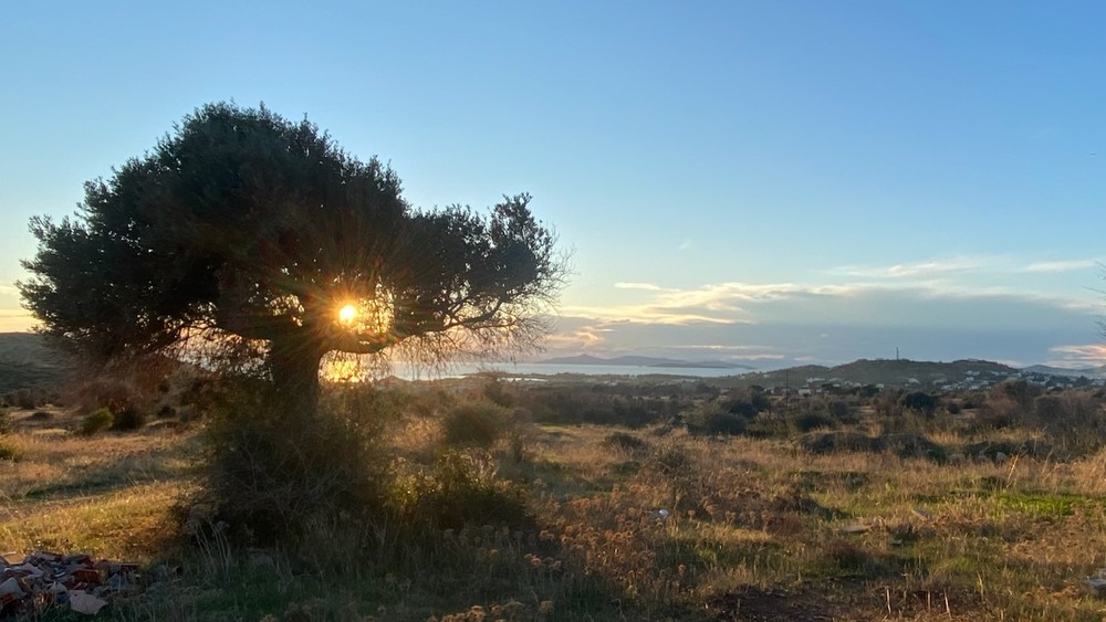 Фотографія Пейзаж / Alice Grey / photographers.ua