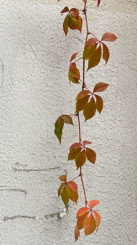 Фотографія Пейзаж / Alice Grey / photographers.ua