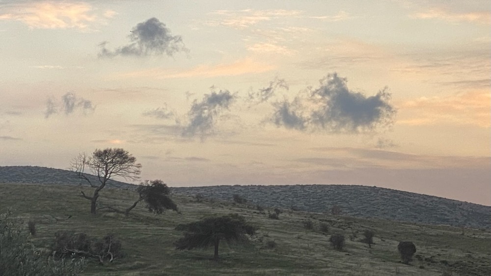 Фотографія Безмовна пастель / Alice Grey / photographers.ua