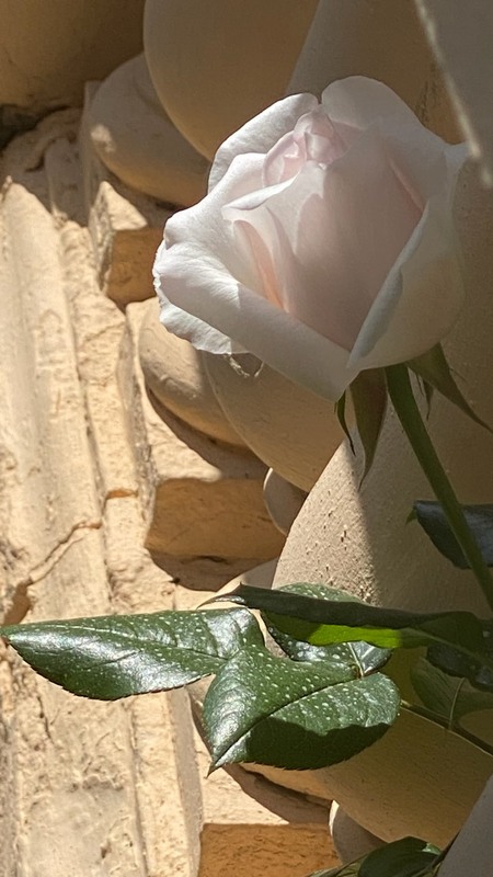 Фотографія Пейзаж / Alice Grey / photographers.ua