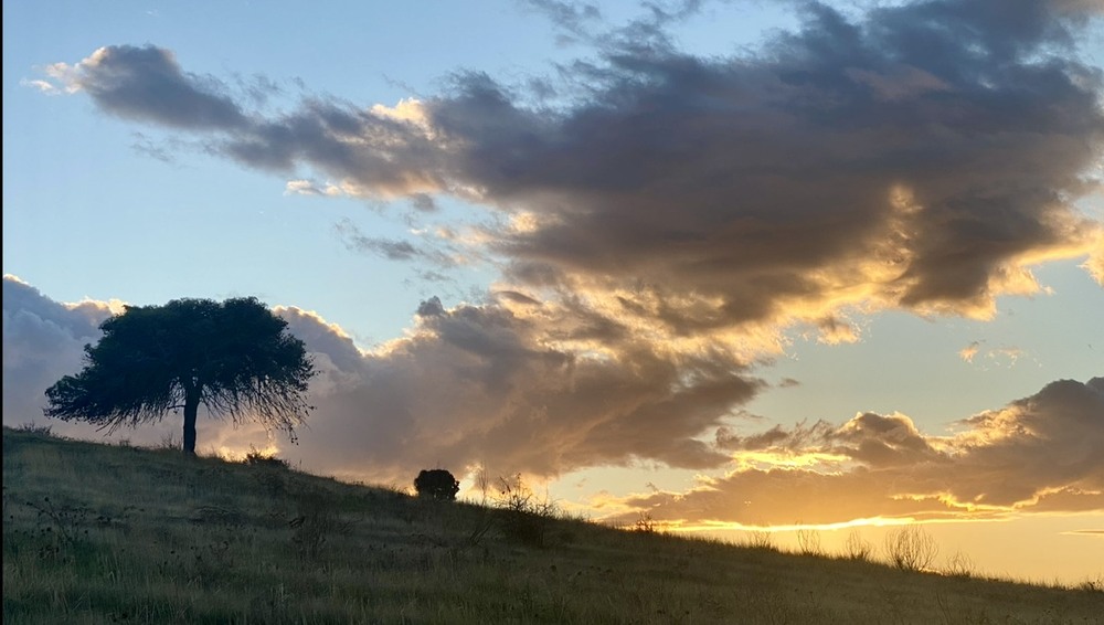 Фотографія Пейзаж / Alice Grey / photographers.ua