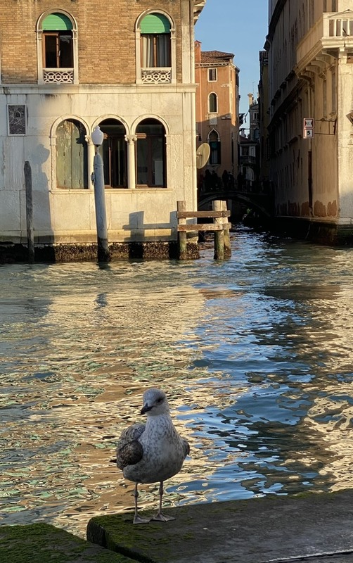 Фотографія Пейзаж / Alice Grey / photographers.ua