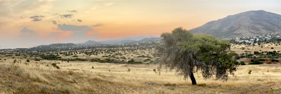 Фотографія Пейзаж / Alice Grey / photographers.ua