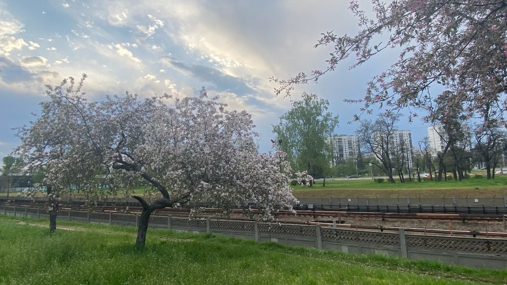 Фотографія Пейзаж / Alice Grey / photographers.ua