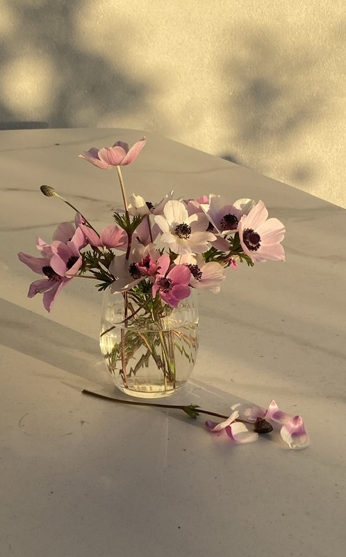 Фотографія Натюрморт / Alice Grey / photographers.ua