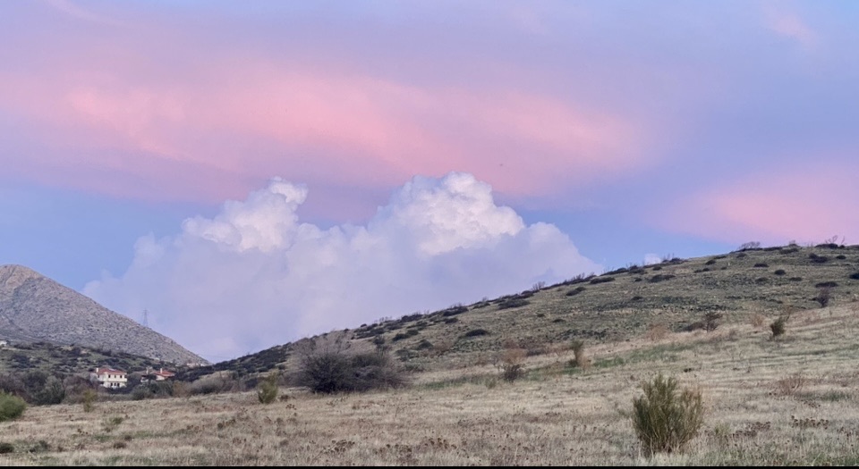 Фотографія Кольори зимового степу / Alice Grey / photographers.ua