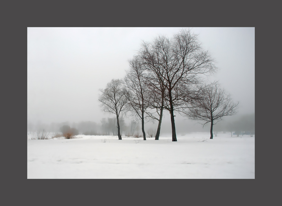 Фотографія Зимний туман / Alice Grey / photographers.ua