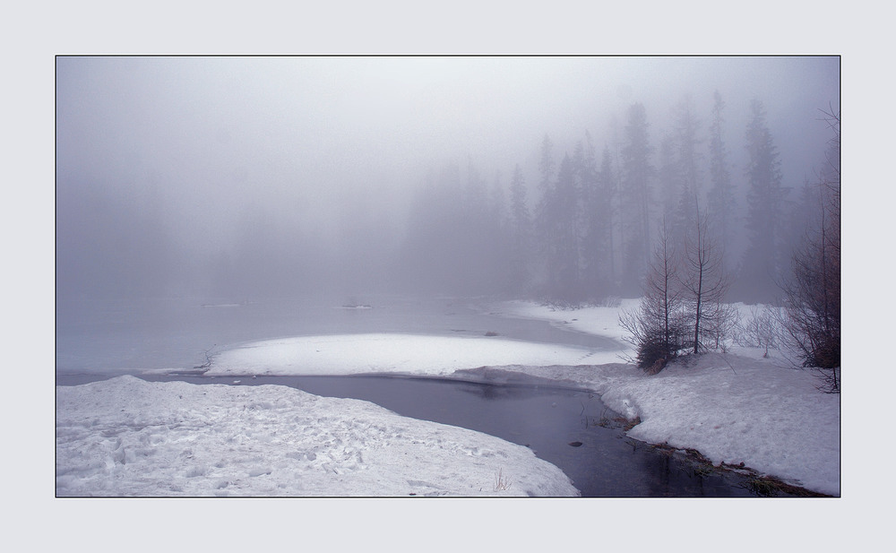 Фотографія Туманная серия 2 (4) / Alice Grey / photographers.ua