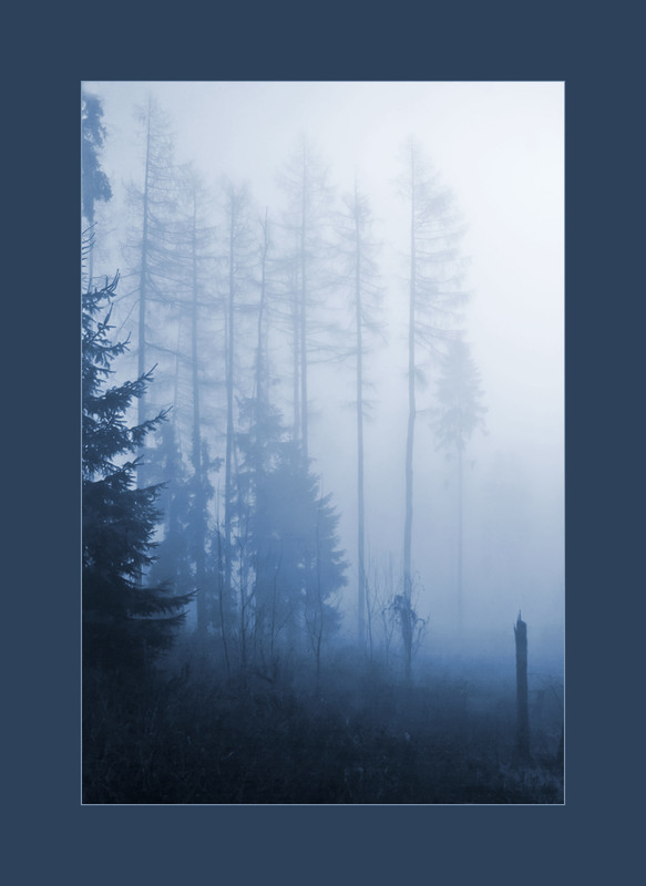Фотографія Туманная серия 2 (9) тонированная / Alice Grey / photographers.ua