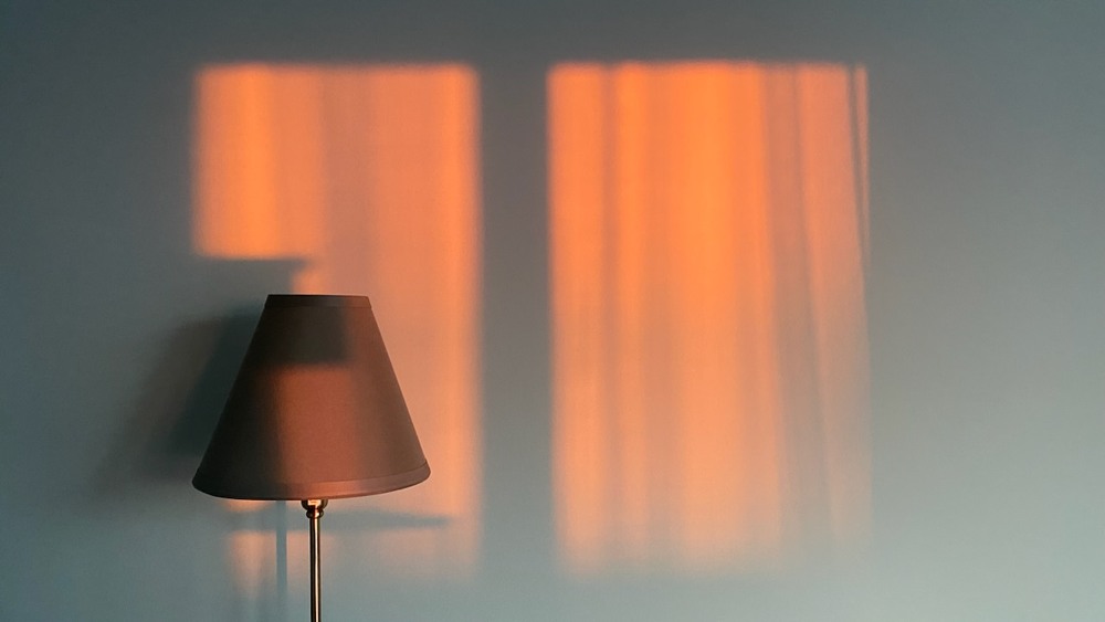 Фотографія Вечірня… / Alice Grey / photographers.ua