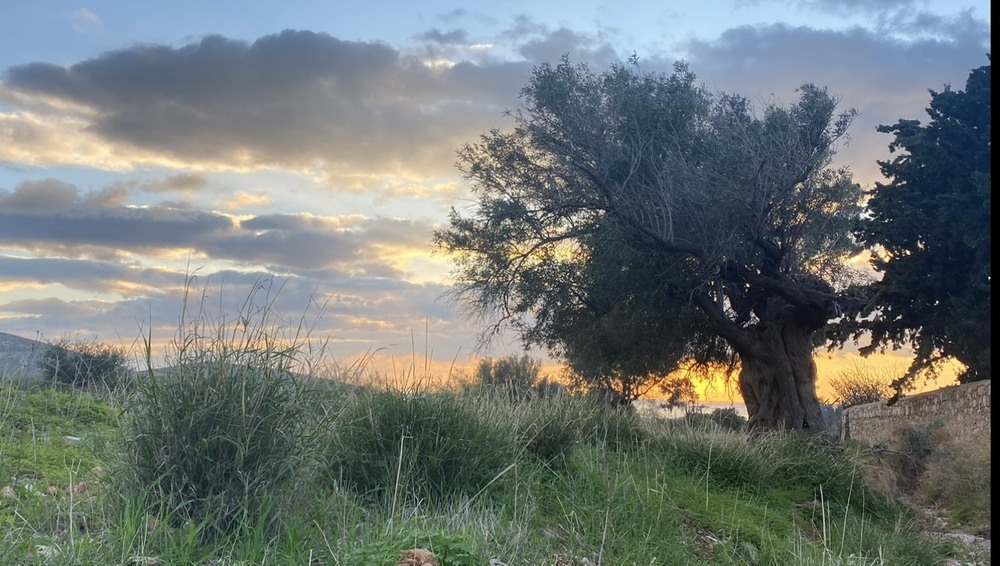 Фотографія Пейзаж / Alice Grey / photographers.ua