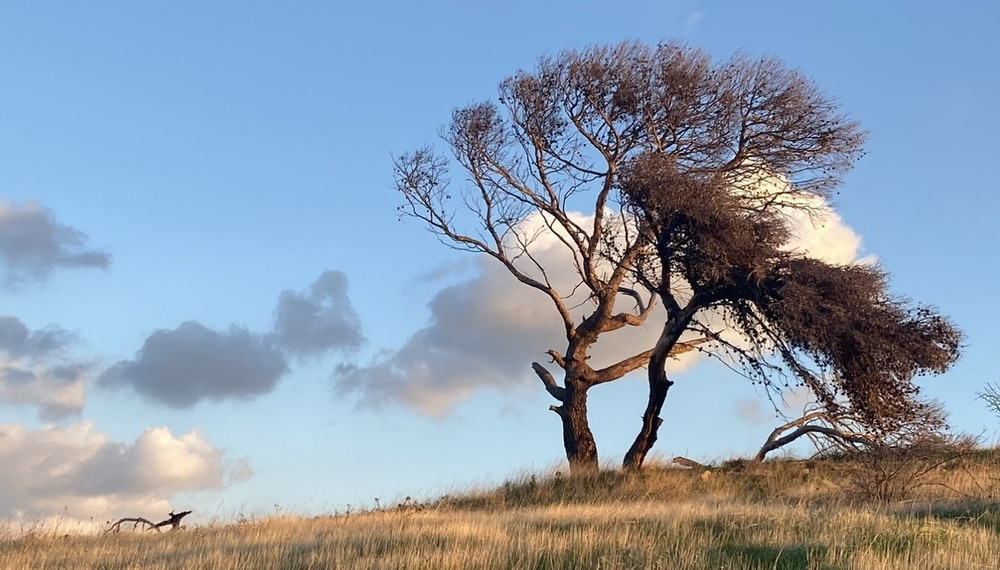 Фотографія Пейзаж / Alice Grey / photographers.ua