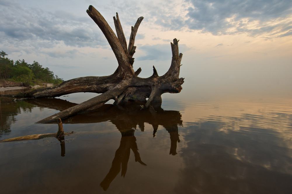 Фотографія Корч / Тимофеев Виталий / photographers.ua