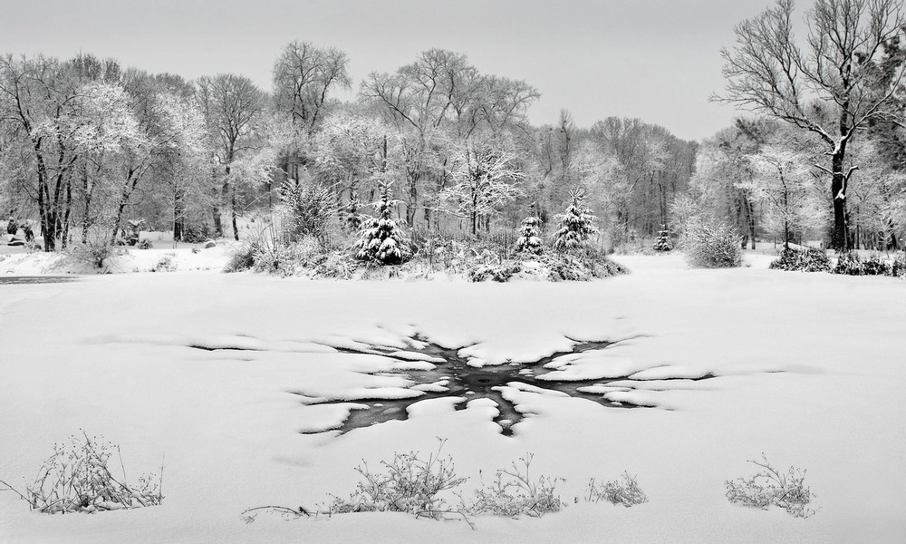 Фотографія "Клякса" на снегу / Тимофеев Виталий / photographers.ua