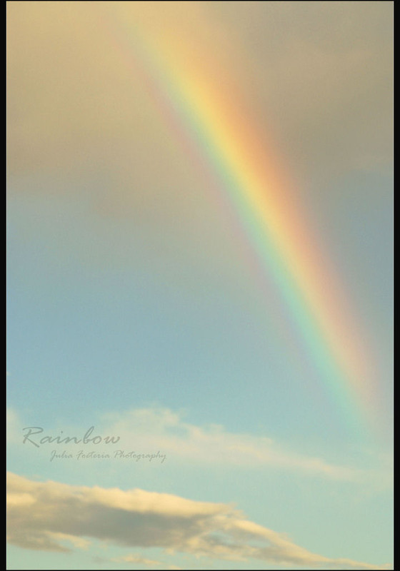 Фотографія rainbow / Julia M. / photographers.ua