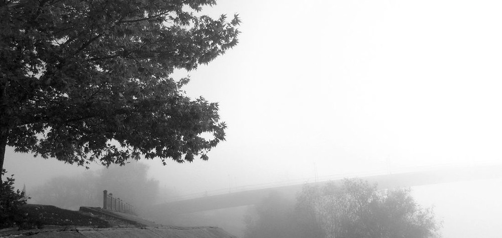 Фотографія Уйти в туман ... / Viacheslav VVK / photographers.ua