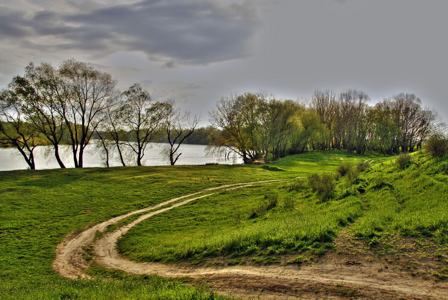 Фотографія Дорога, ведущая к реке. / Viacheslav VVK / photographers.ua
