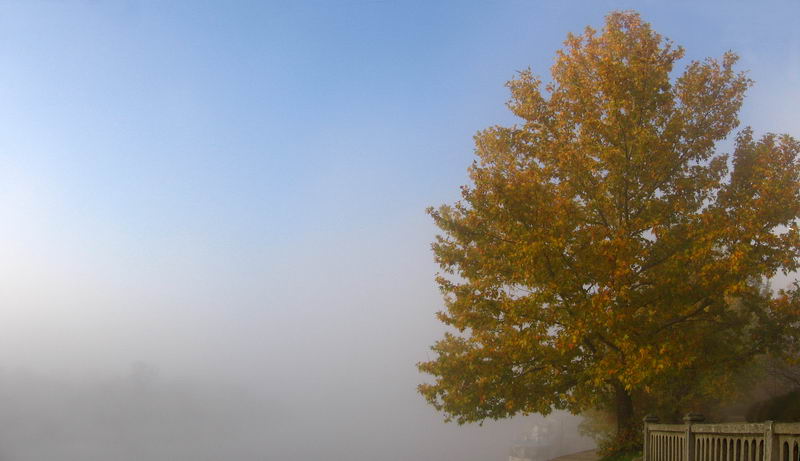 Фотографія Осень.Туманное утро встаёт над рекой. / Viacheslav VVK / photographers.ua