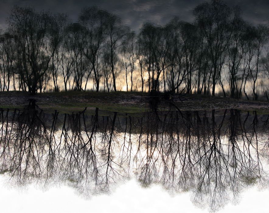 Фотографія Структура отражения. / Viacheslav VVK / photographers.ua