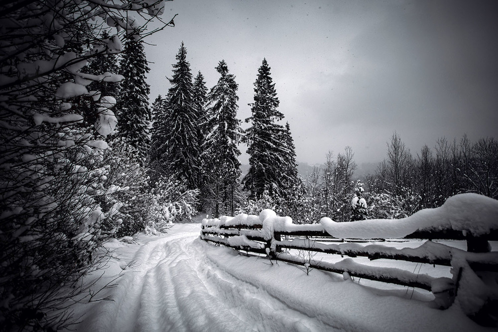 Фотографія Зима як в дитинстві / Іван Стеценко / photographers.ua
