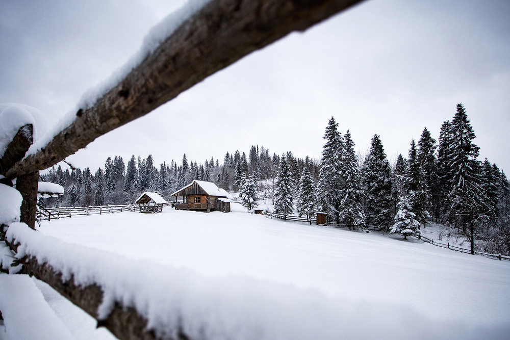 Фотографія Затишна зима / Іван Стеценко / photographers.ua