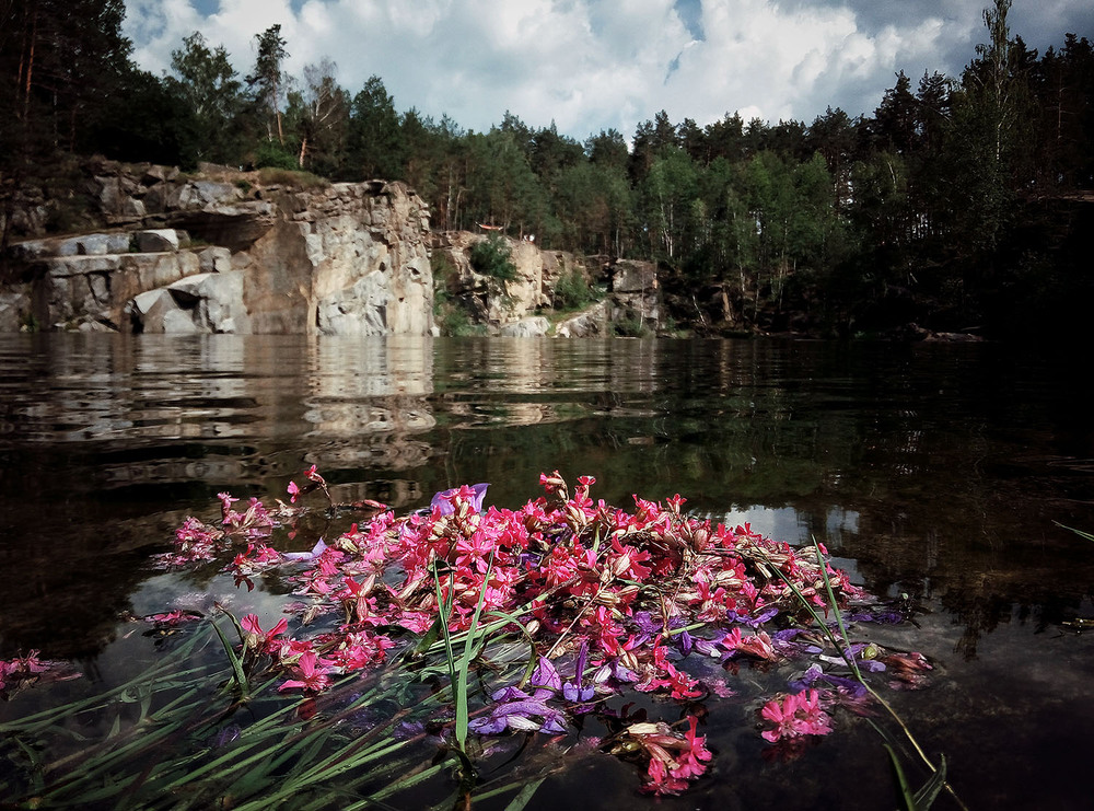 Фотографія Букет / Іван Стеценко / photographers.ua