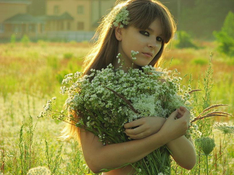 Фотографія полевые цветы... / Виктор М / photographers.ua