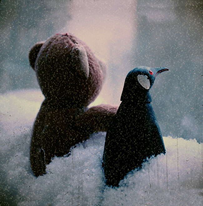 Фотографія Новогодняя сказка про пингвина: час расставания!  часть8 / rocco / photographers.ua