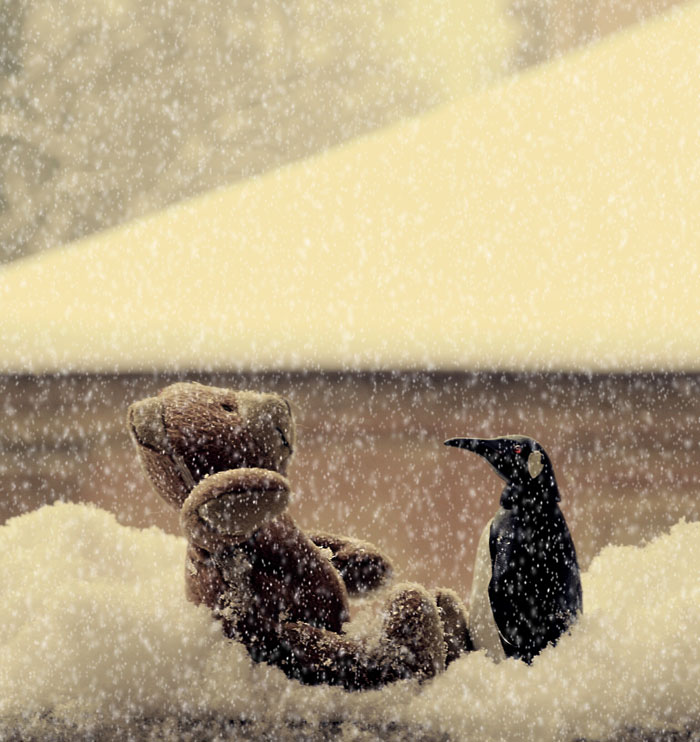 Фотографія Новогодняя сказка про пингвина :Теплая и уютная атмосфера:часть 4 / rocco / photographers.ua