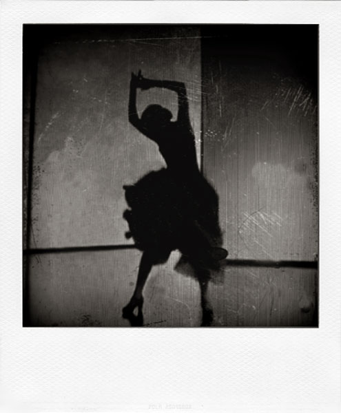 Фотографія flamenco... / rocco / photographers.ua