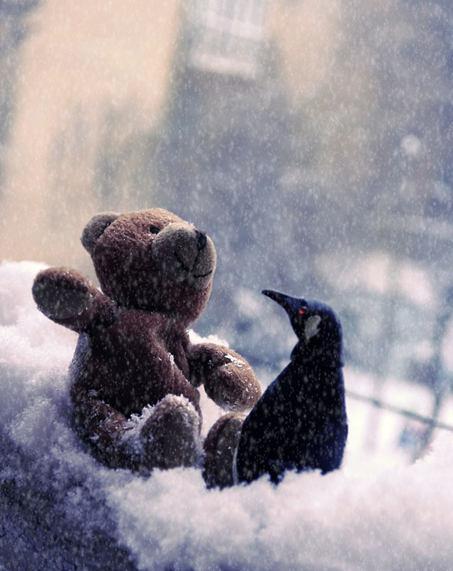 Фотографія Новогодняя сказка про пингвина : радостная встреча!часть 3 / rocco / photographers.ua