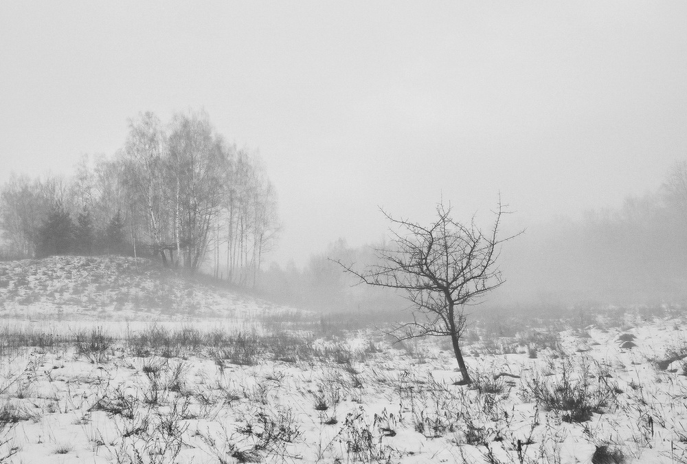 Фотографія *** / Игорь Филипенко / photographers.ua