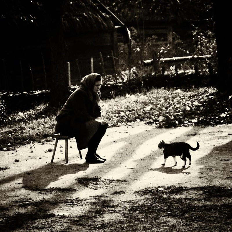 Фотографія ...человек и кошка... / Игорь Филипенко / photographers.ua