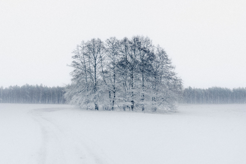 Фотографія Зимова стихія / Alexandro Foti / photographers.ua